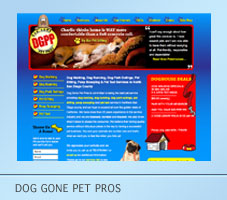 Dog Gone Pet Pros